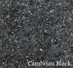 Cambrian Black