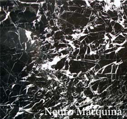 Neuro Marquina