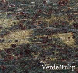 Verde Tulip