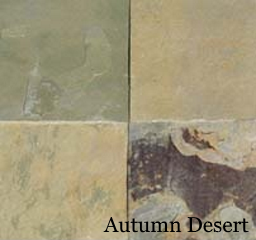 Autumn Desert